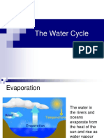 The Water Cycle