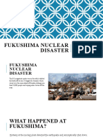 Fukushima Nuclear Disaster