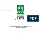 Informe PCB 2020