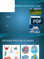 Where Animal Live