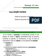 Reprodução Humana - 2