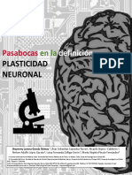 Neuro Plasticidad