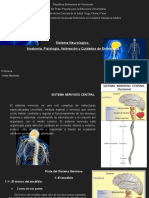 Sistema Neurologico