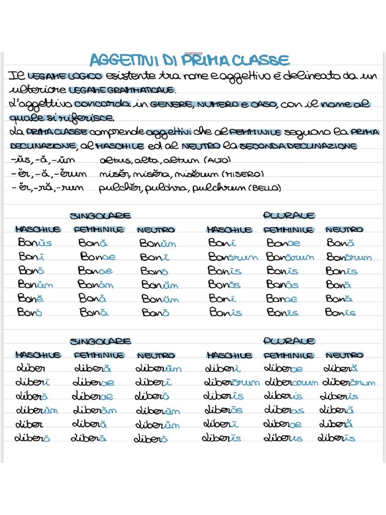 Aggettivi Della 1 Classe PDF