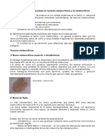 Tema 10 - Estructuras Vasculares en Tumores Melanocíticos y No Melanociticos