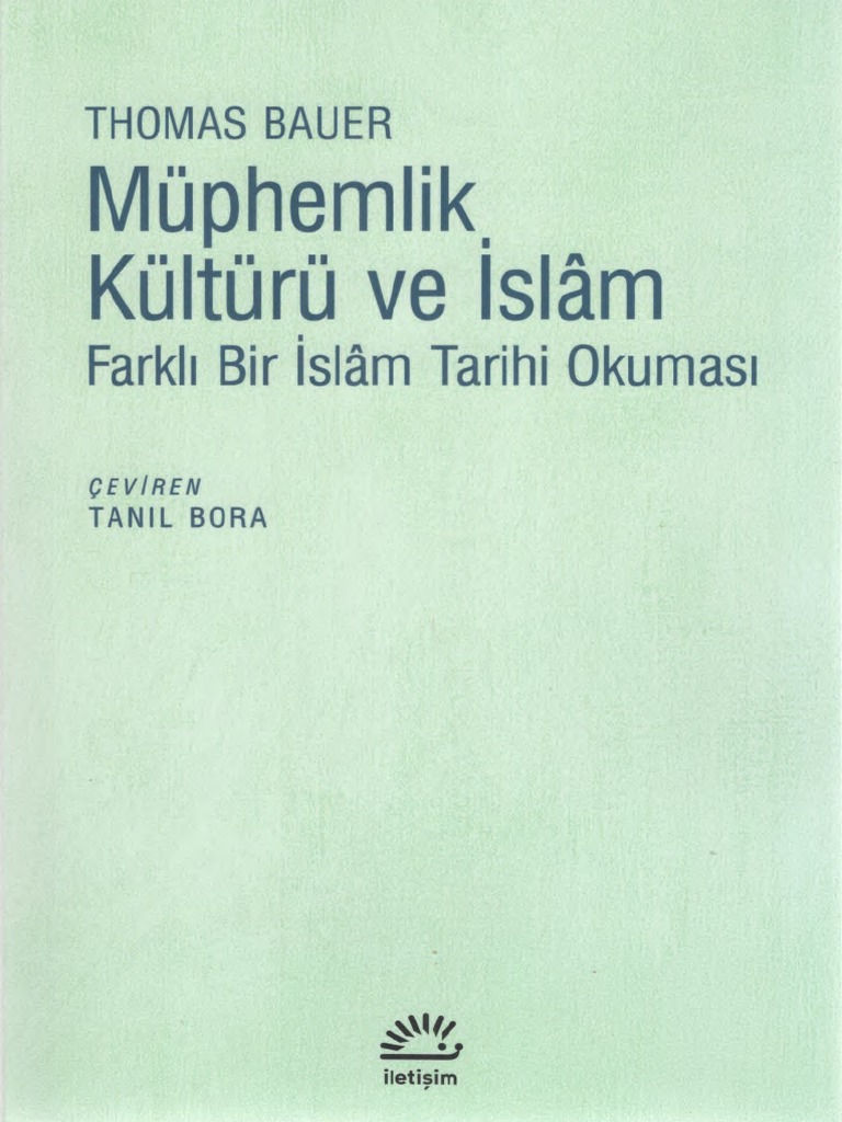Yabancılar, Müphemlik ve Sosyal Teori