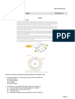 2022 - 2023 - 11º - FF2 - Ciclo Celular