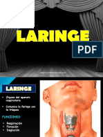 LARINGE