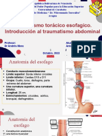 TX Esofagico. Introdx Al TX de Abdomen