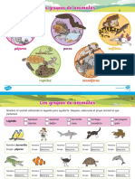 Es SC 383 PDF Interactivo Los Grupos de Animales - Ver - 1