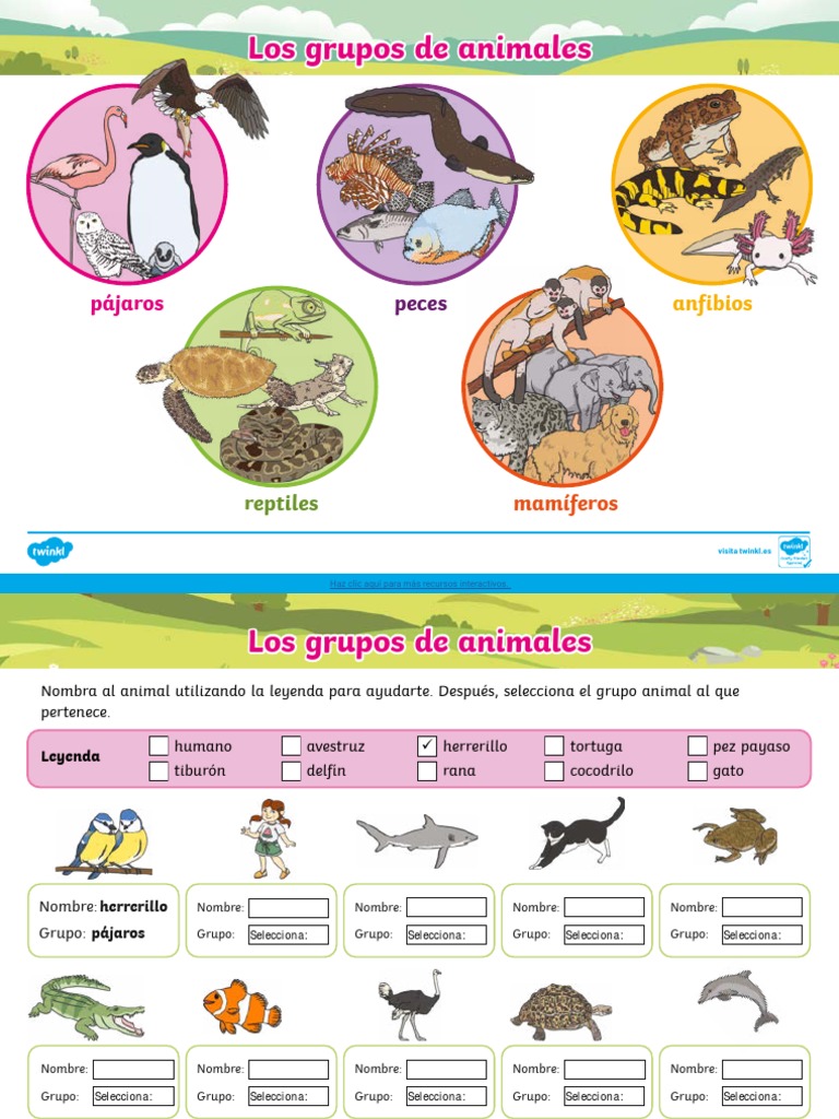 Nombres de grupos de animales | PDF | Hogar, jardinería y bricolaje