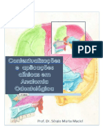 Anatomia da cabeça e pescoço aplicada à Odontologia