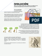 EVOLUCIÓN Ficha