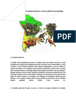 Clasificacion de Los Animales Según El Tipo de Alimento Que Consumen