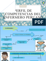 Perfil de Competencias Del Enfermero Peruano