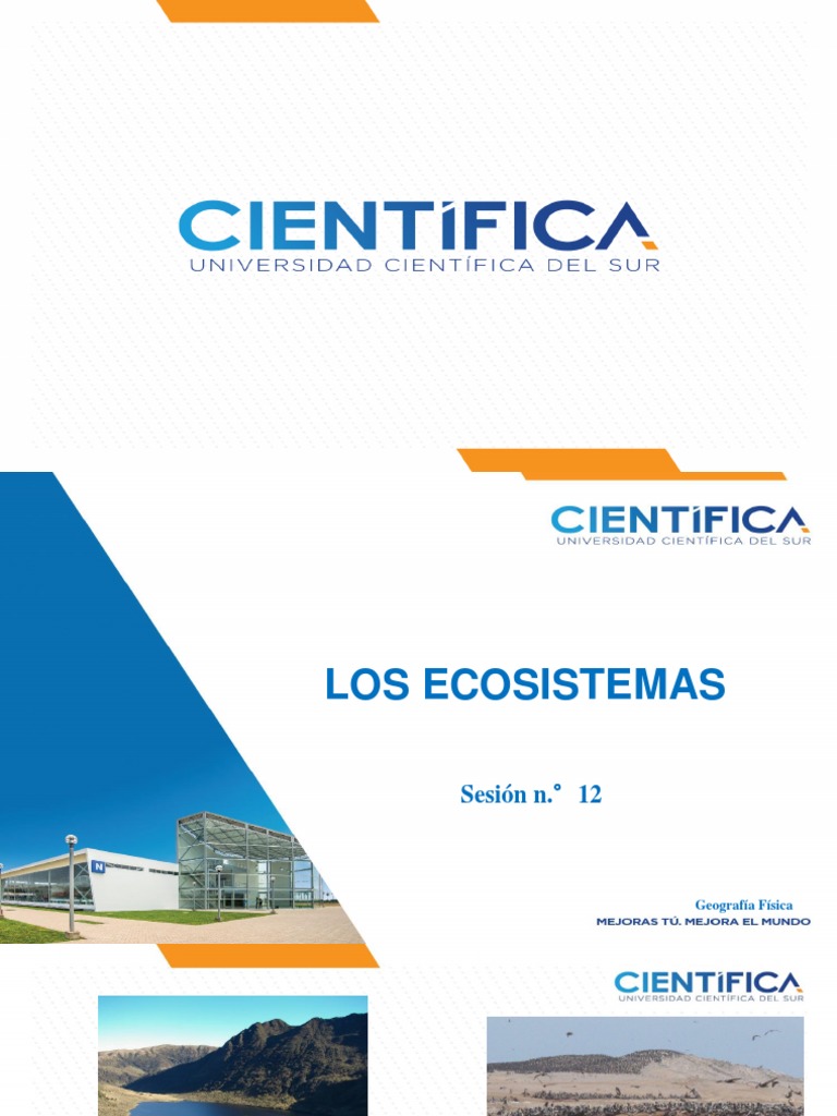 Tipos de Ecosistemas en México | PDF | Ecosistema | Suelo