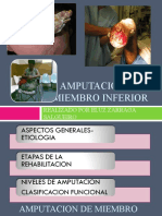 Amputacion de Miembro Inferior.ppt Eluz Version Imprimir