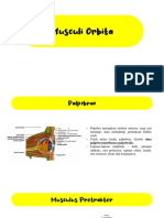 untuk Mengulas Muskuli Orbita dalam