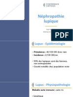 Support Du Cours - Néphropathie Lupique