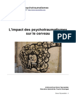 Fonctionnement Du Psychotraumatisme Dans Le Cerveau