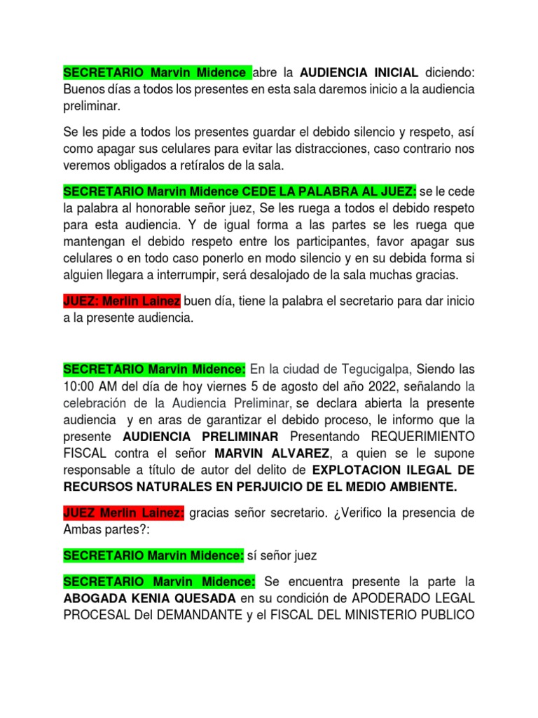 AUDIENCIA | PDF | Justicia | Crimen y violencia