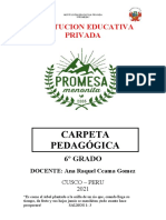 Carpeta Pedagogica