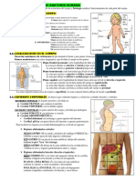 Nociones Básicas de Anatomía