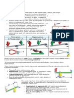 Fisica Palancas