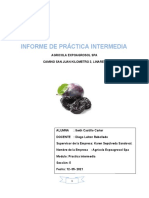 Informe practica intermedia  EJEMPLO