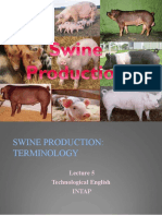 S5 Swine-Production