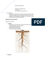 Botany - Root System, Structure and Medicinal Importance