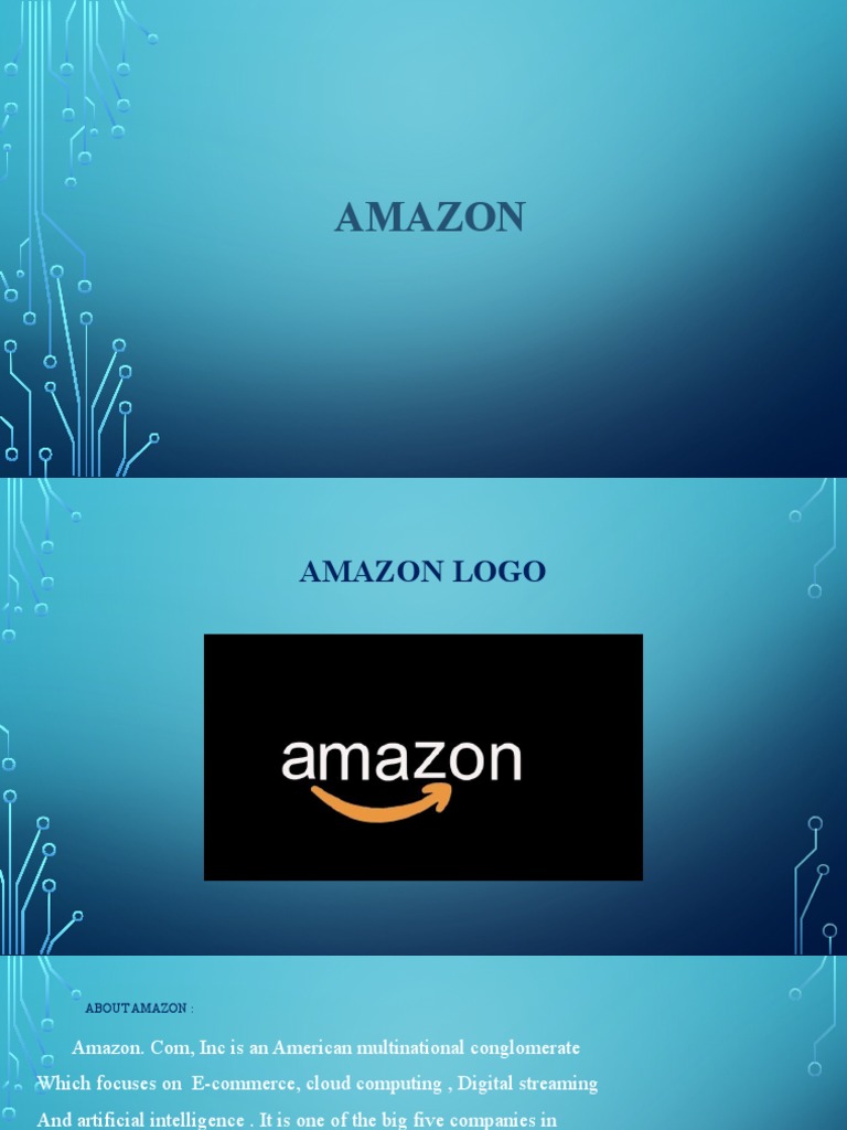 Overview of Amazon's Management Structure | PDF