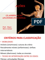 Classificação das articulações anatômicas