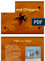 Chiggers - Slide Show Presentation