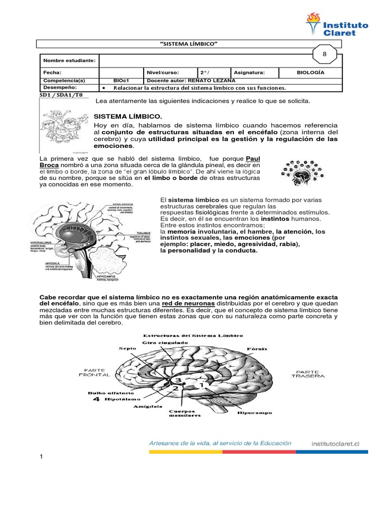 Partes y Funciones del Sistema Límbico | PDF | Sistema límbico | Cerebro