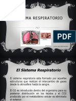 Sistema Respiratorio PPT Clase 5