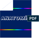 Anatomia