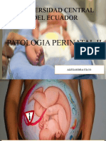 Patologia Perinatal II