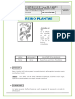 Reino Plantae