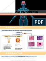 Sistem Endokrin