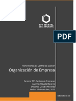 Estructura Organizacional de Empresas II. Claudia Navarro