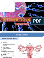 Sistem Reproduksi