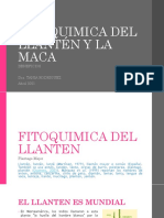 Fitoquimica Llantén y Maca