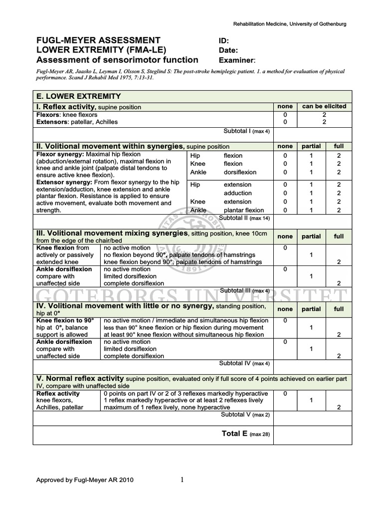Lower Extremity (FmaLe) PDF Anatomical Terms Of Motion Human Leg