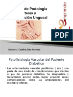 (Clase 18) B Patofisiologias Vascular Del Paciente Diabeticos