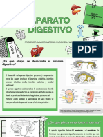 Foro N°9 de Morfofisiología - Chavesta Regalado Sandra Paola