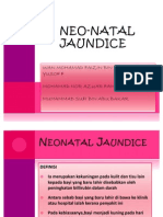 Neo Natal Jaundice