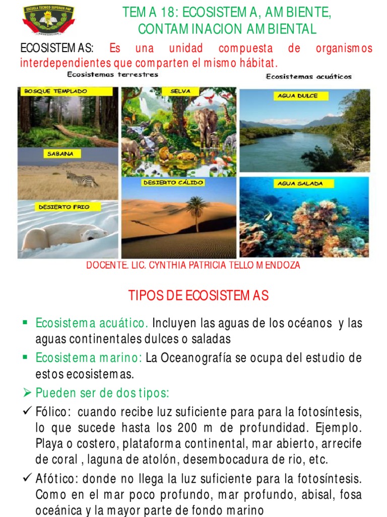 Ecosistemas y Contaminación Ambiental | PDF | Ecosistema | Los bosques