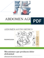 Abdomen agudo: fisiopatología, clasificación y procedimientos diagnósticos