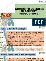 Factors To Consider in Poultry Productions